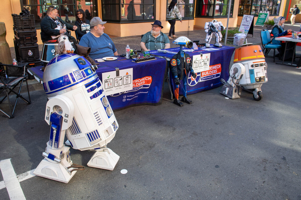 FOREST.MOON.2024.FRIDAY.MARKET.DSC_7480