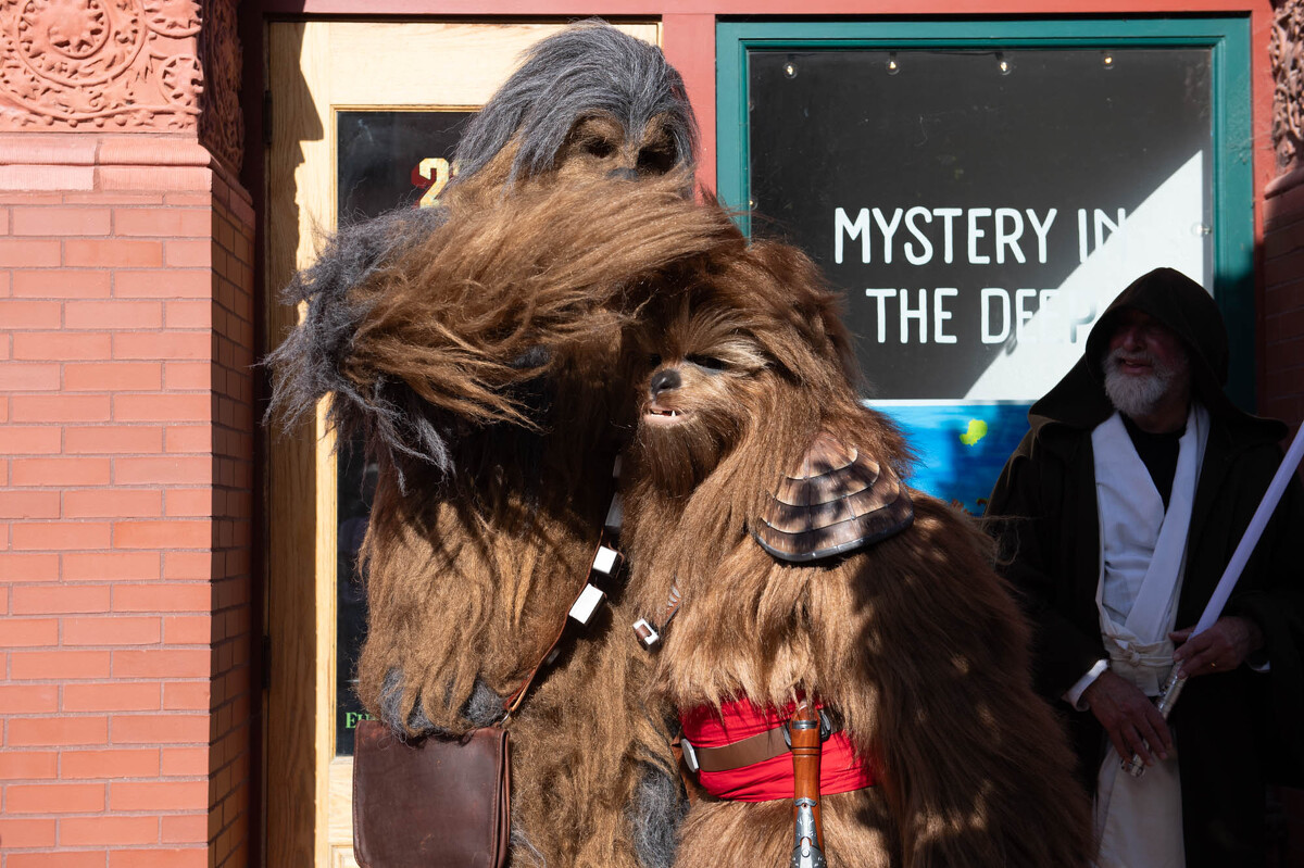 FOREST.MOON.2024.FRIDAY.MARKET.DSC_7580