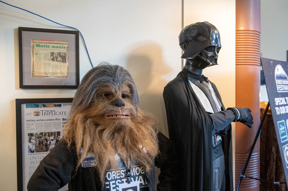 FOREST.MOON.2024.FRIDAY.MARKET.DSC_8076