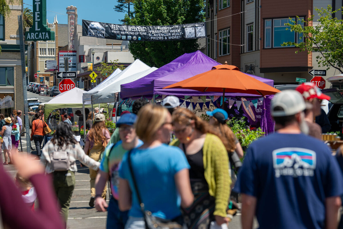 FOREST.MOON.2024.SATURDAY.DSC_3708
