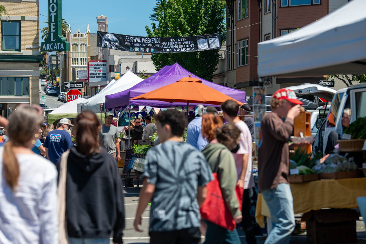 FOREST.MOON.2024.SATURDAY.DSC_3717