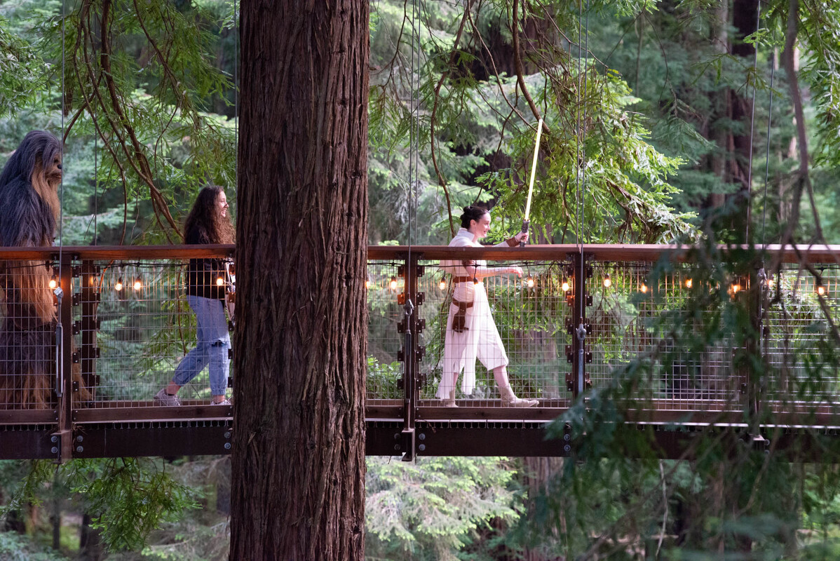 FOREST.MOON.2024.SATURDAY.DSC_3846