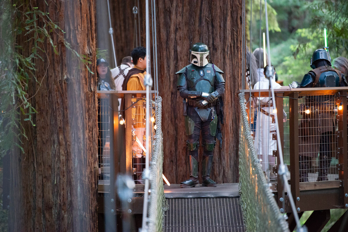 FOREST.MOON.2024.SATURDAY.DSC_3849