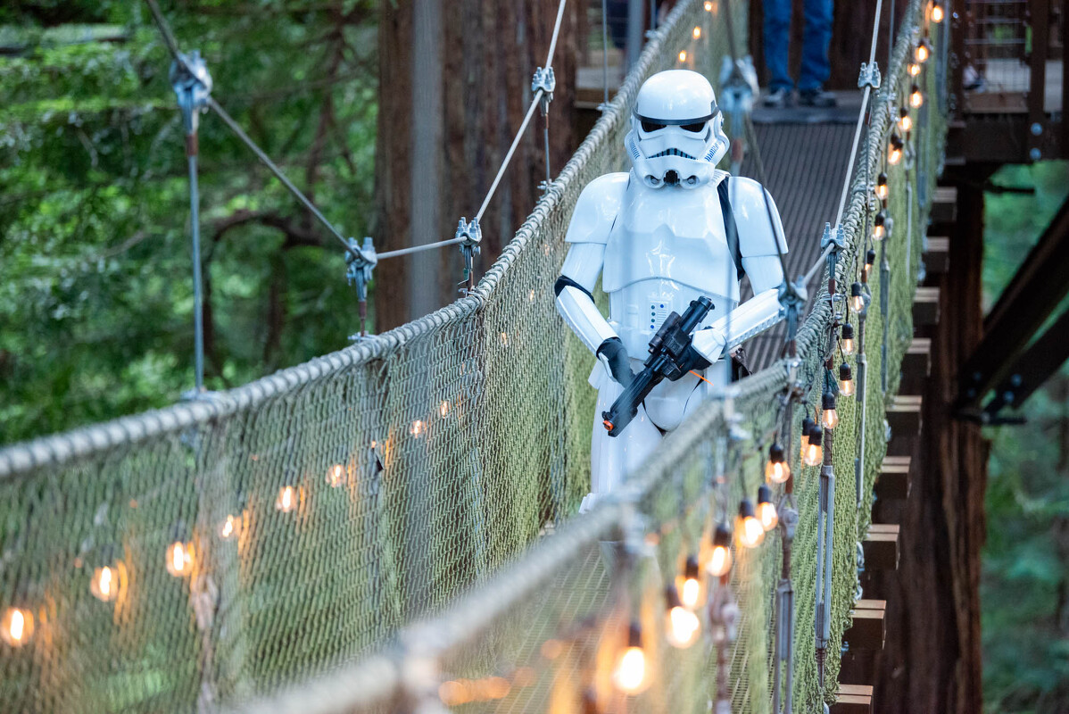 FOREST.MOON.2024.SATURDAY.DSC_3865