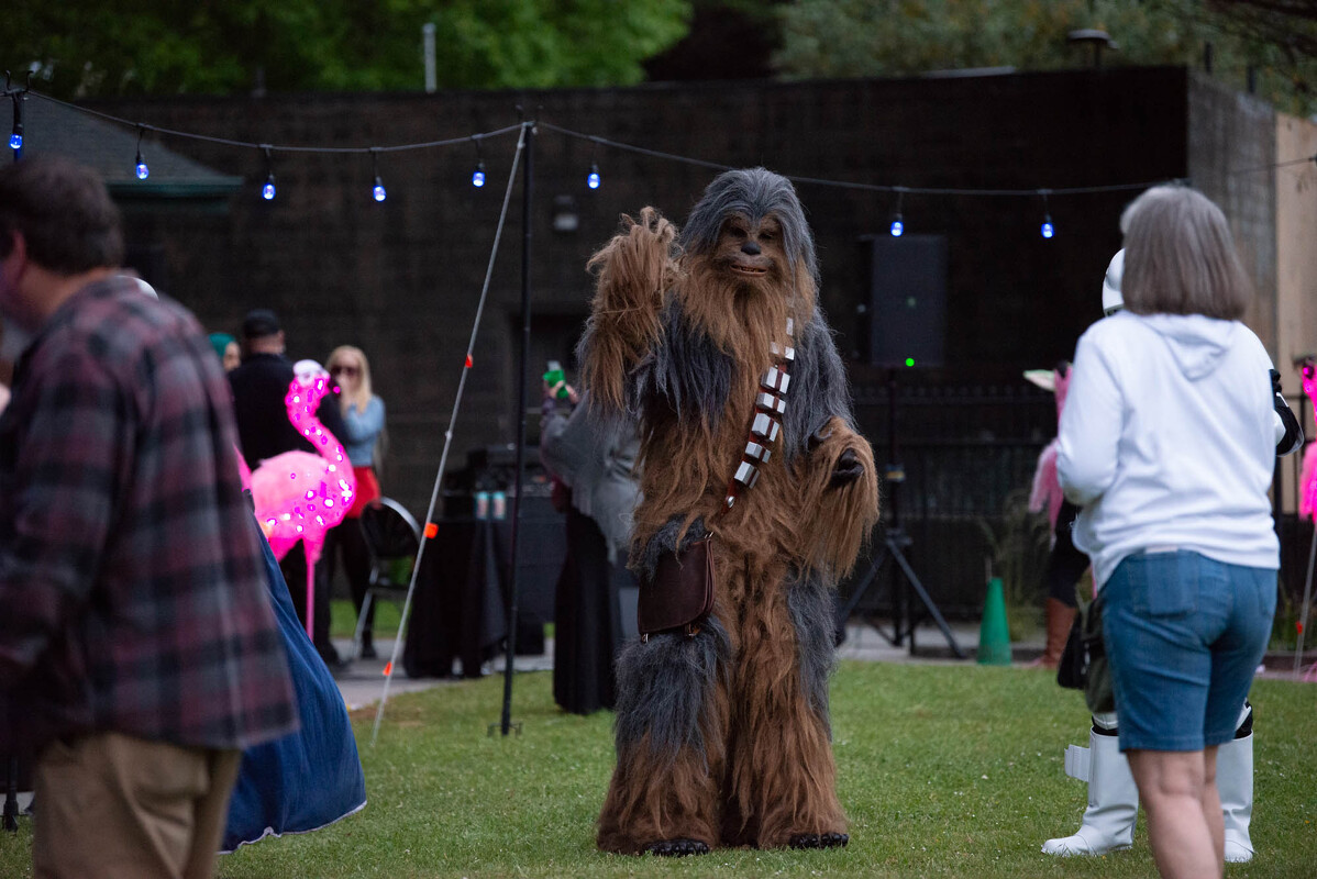 FOREST.MOON.2024.SATURDAY.DSC_3881