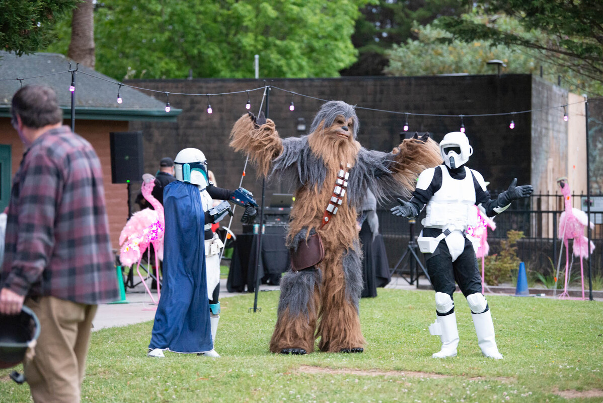 FOREST.MOON.2024.SATURDAY.DSC_3892