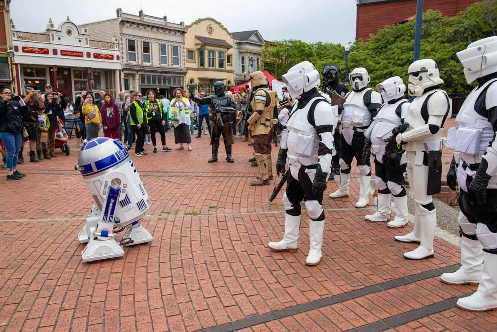 forest-moon-arts-alive-dsc-6036_orig