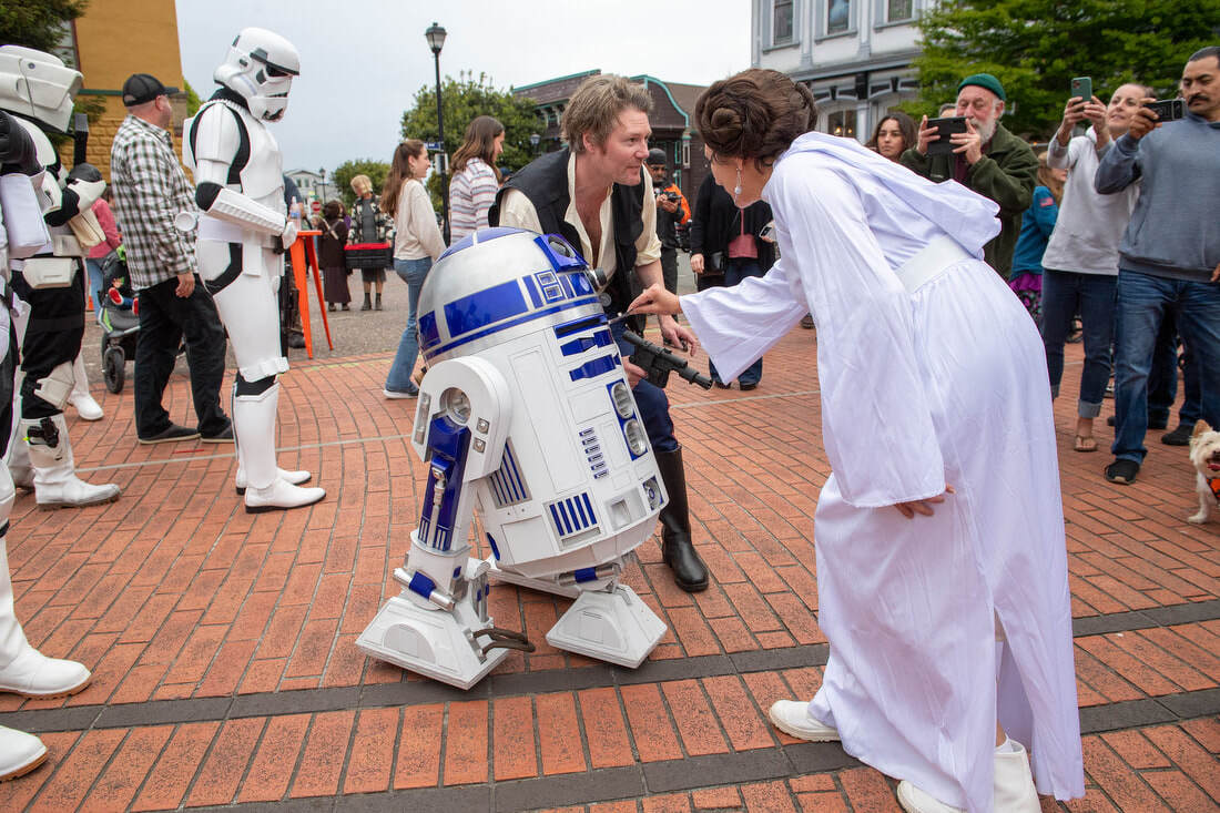 forest-moon-arts-alive-dsc-6125_orig