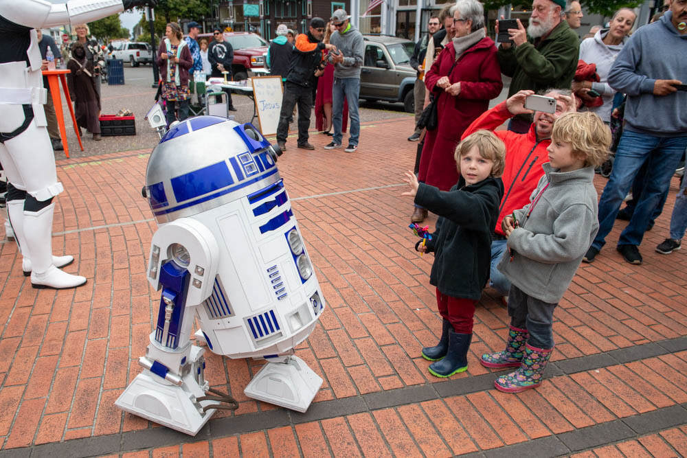 forest-moon-arts-alive-dsc-6142_orig