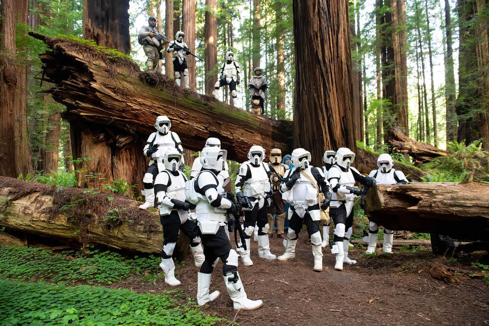 forest-moon-cheetham-grove-dsc-4786_orig