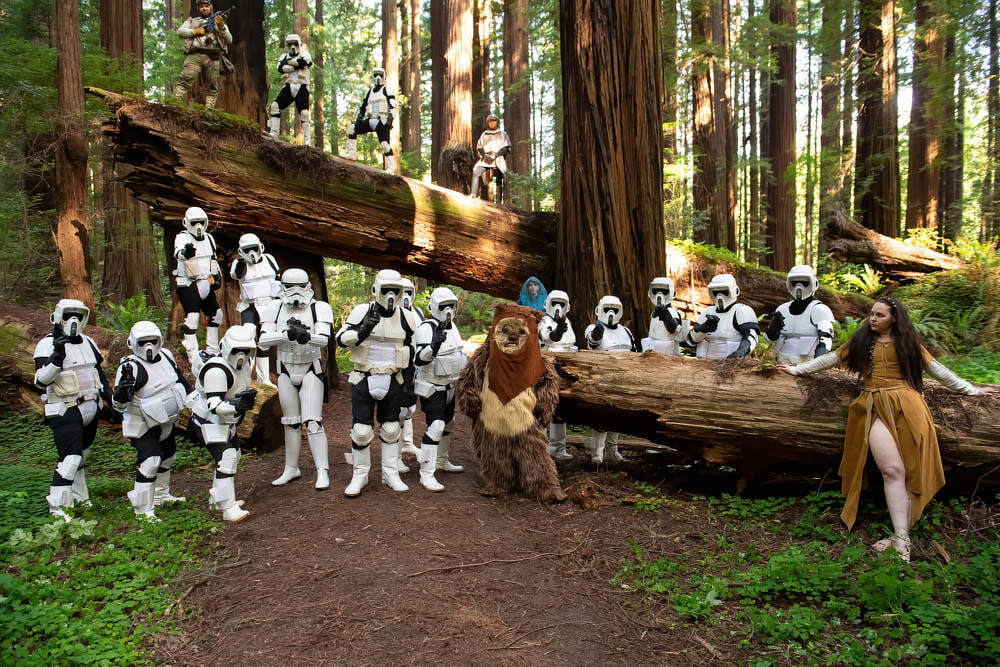 forest-moon-cheetham-grove-dsc-4952_orig