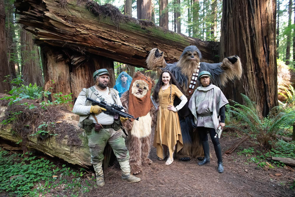 forest-moon-cheetham-grove-dsc-5071_orig