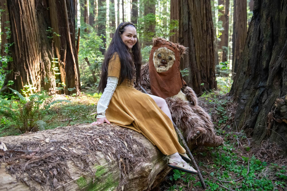 forest-moon-cheetham-grove-dsc-5293_orig